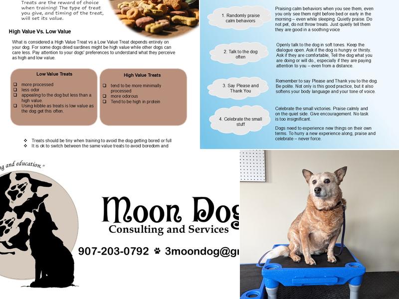 Moon Dog Consulting and Services