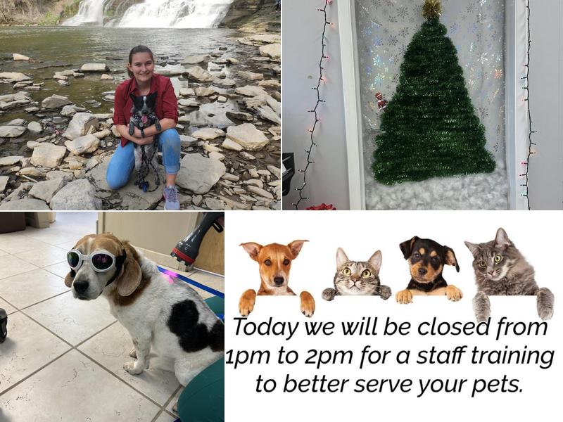 Mt Nittany Veterinary Hospital: Eddy Barbara DVM