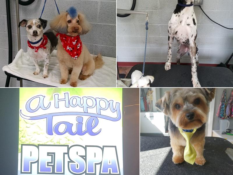 A Happy Tail Pet Spa