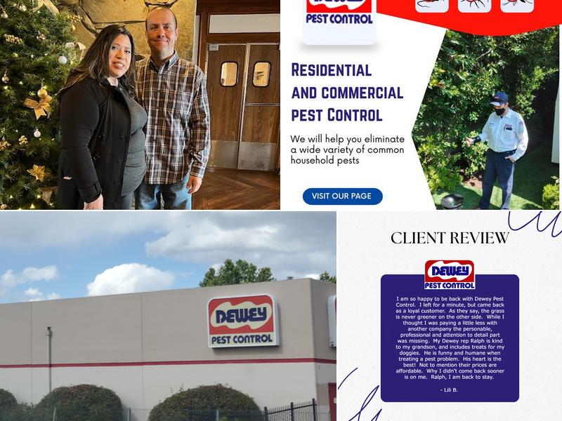 Dewey Pest & Termite Control
