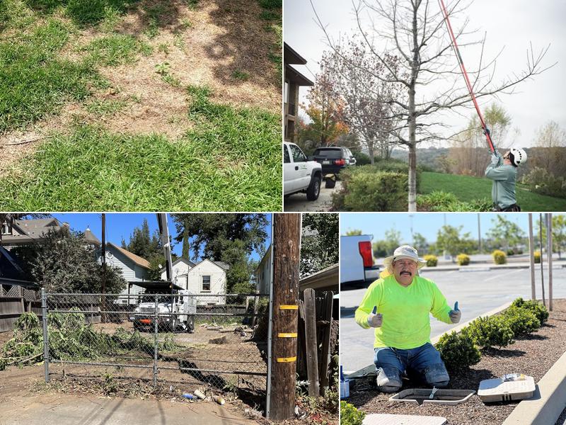 The Grove Total Tree Care