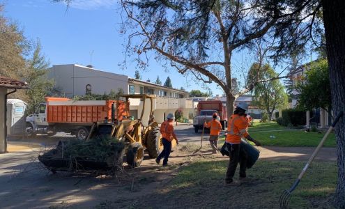 Johnny's Tree Services