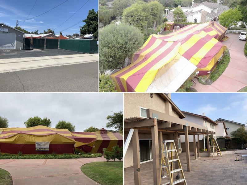 Magic Care Termite Inc