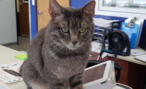 Bella SPCA Veterinary Hospital