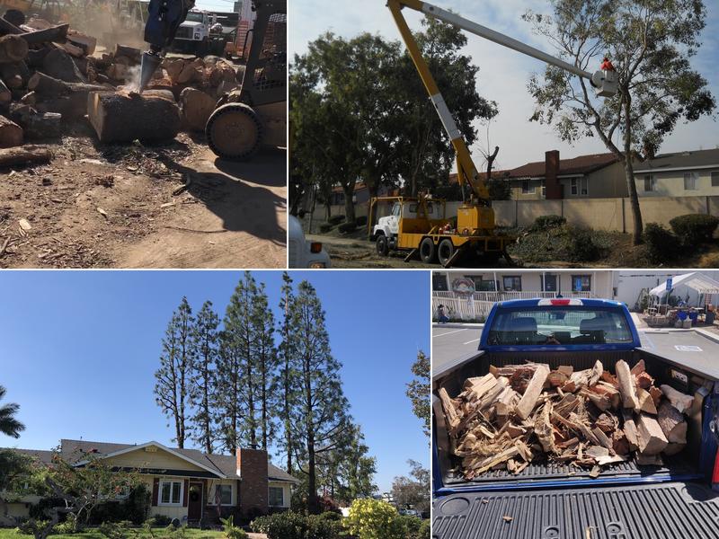 Treesmith Enterprises, Inc.