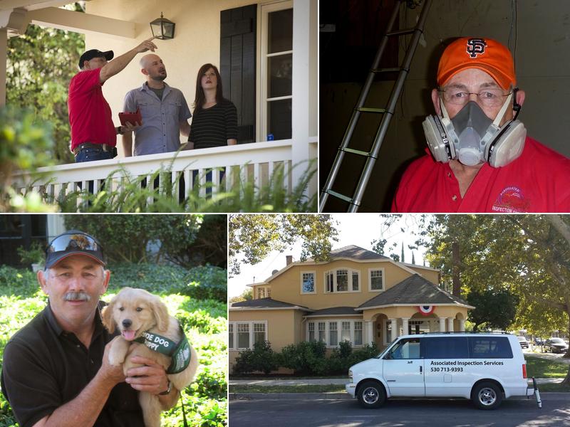 Associated Inspection Services