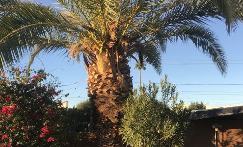 Economy Tree & Crane Inc. Thousand Palms