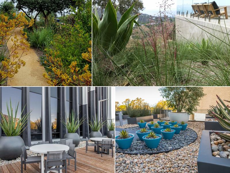 Costa Verde Landscape Inc