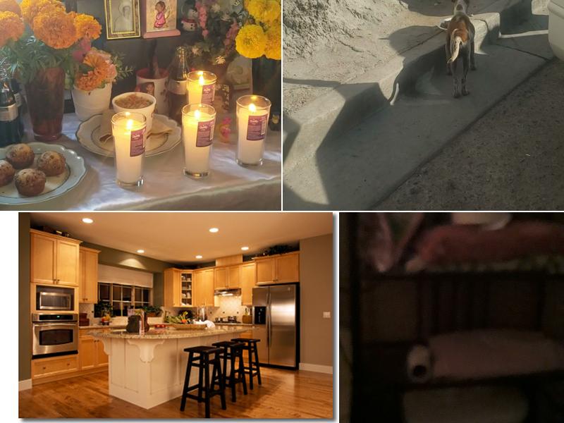 Restoration Solutions