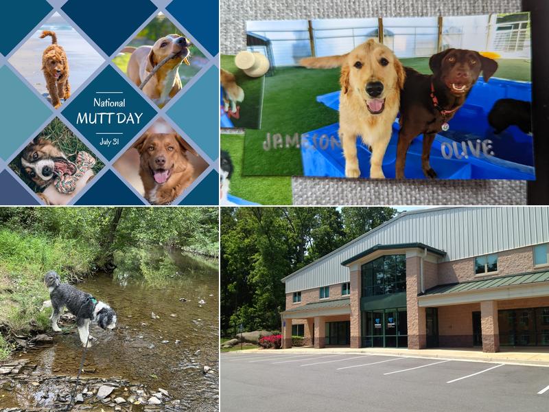 Pender Pet Retreat at Dulles Gateway