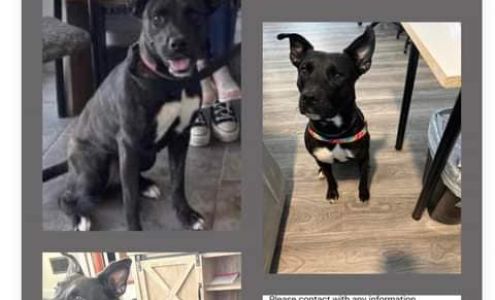 Estill Springs Fire Department Estill Springs