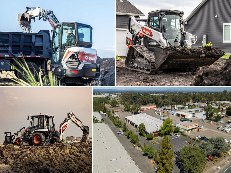 Bobcat of the Bay Santa Rosa