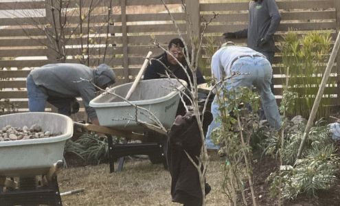 Matthew Ward Landscapes