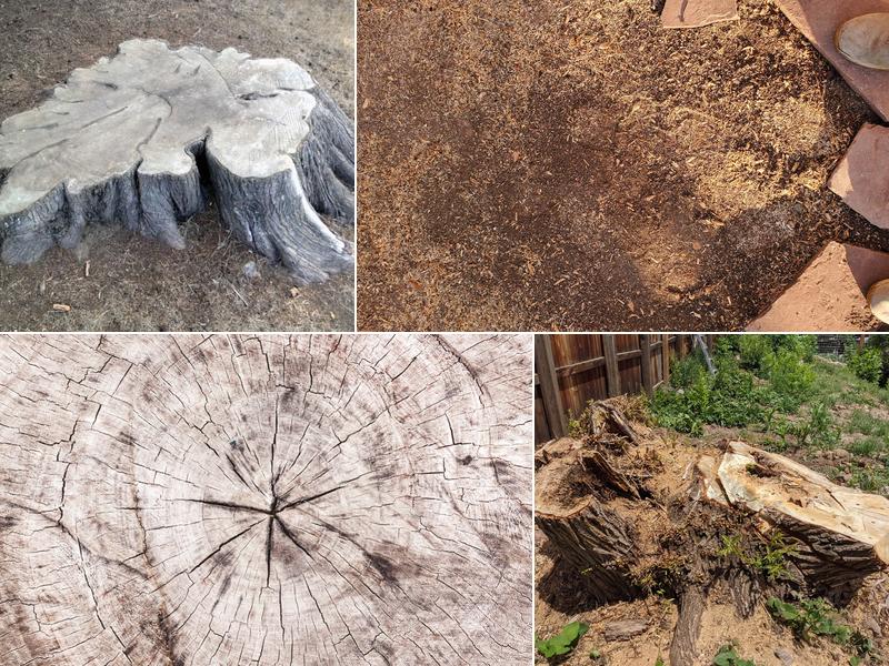 Flatirons Stump Removal