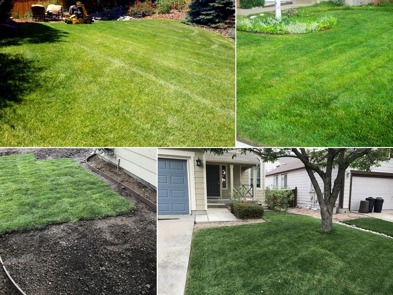 High Plains Lawn Service