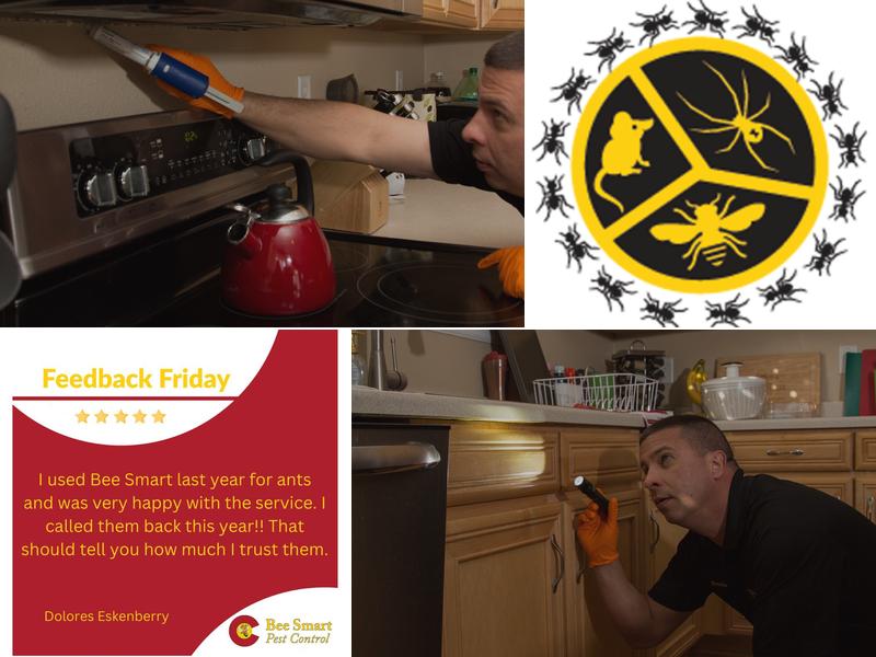 Bee Smart Pest Control