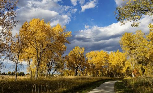 Agents for Home Buyers