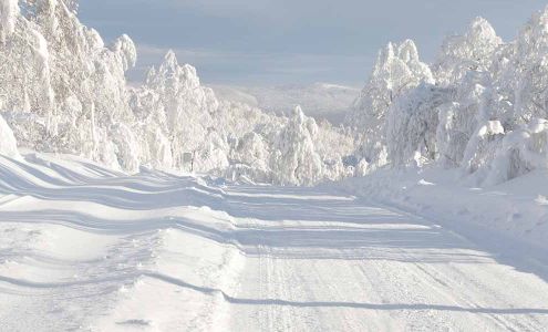 Sabell's Snow Plowing & Landscaping Service Inc