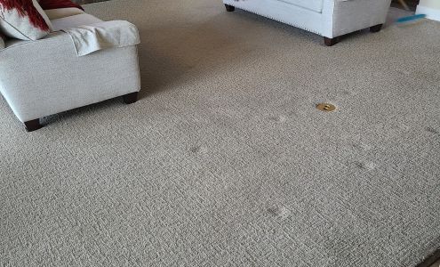 Smart Carpet Cleaning - Loveland, CO 210 E 4th St suite 500, Loveland Colorado 80537