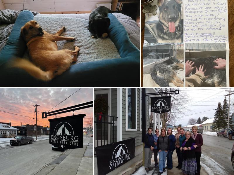 Enosburg Veterinary Care, LLC