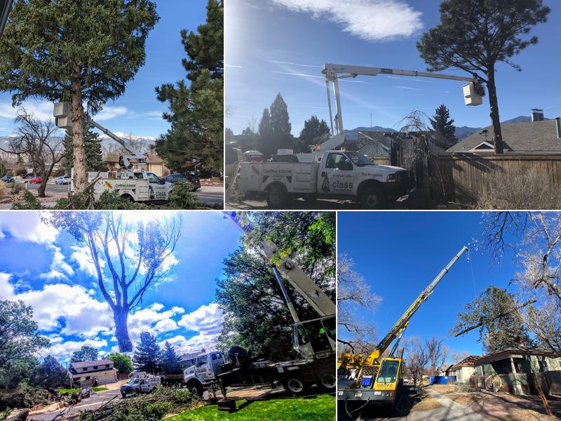 A-Class Tree Service LLC