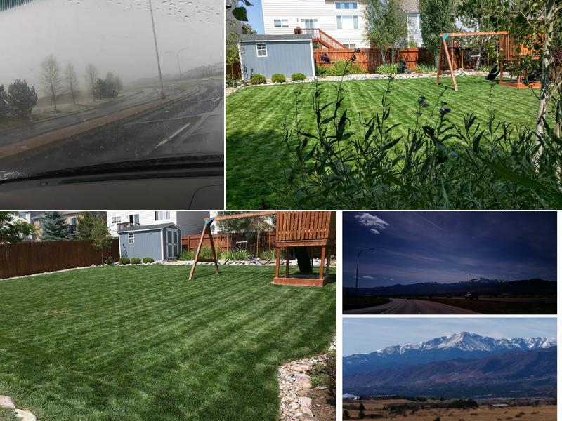 Curb Appeal Lawn & Tree Care