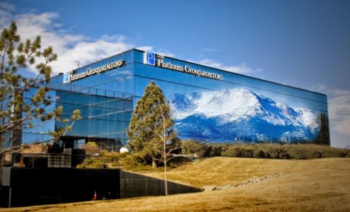 The Platinum Group Realtors LLC