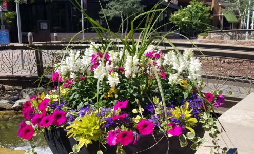 Horizon Property Services