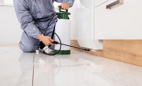 Willington Termite & Pest Control 381 Tolland Turnpike, Willington Connecticut 06279