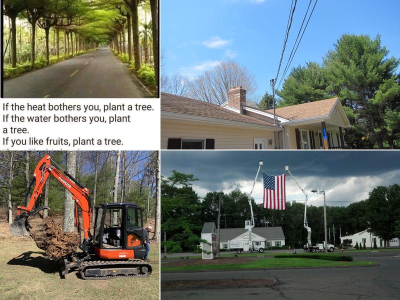 New England Arborist Tree Care, LLC