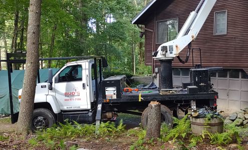 Buds Tree Removal 186 Buckley Hwy, Stafford Springs Connecticut 06076