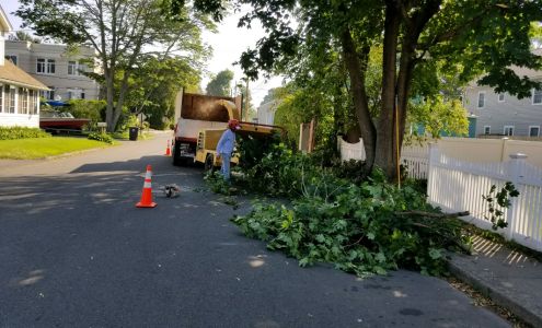 The Magnolia Tree Services LLC