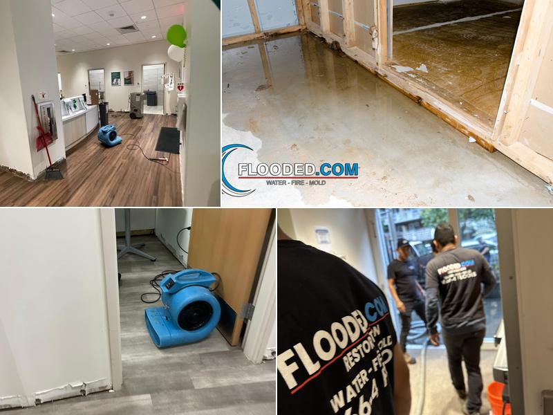 Flooded.com - Water Damage Restoration