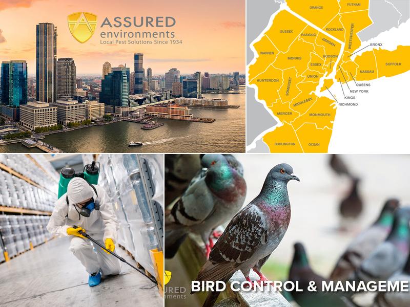 Assured Environments