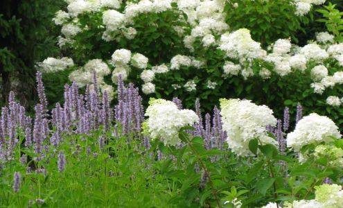 Lawn Care of Fairfield LLC