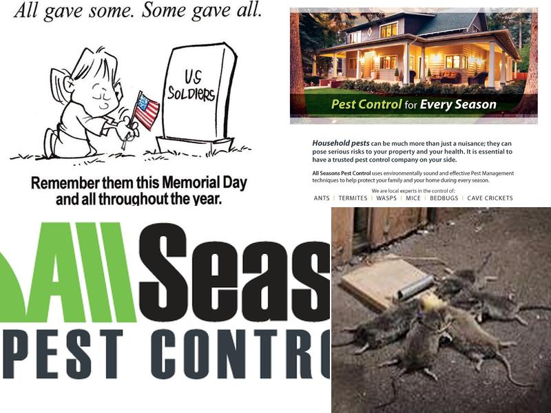 All Seasons Pest Control