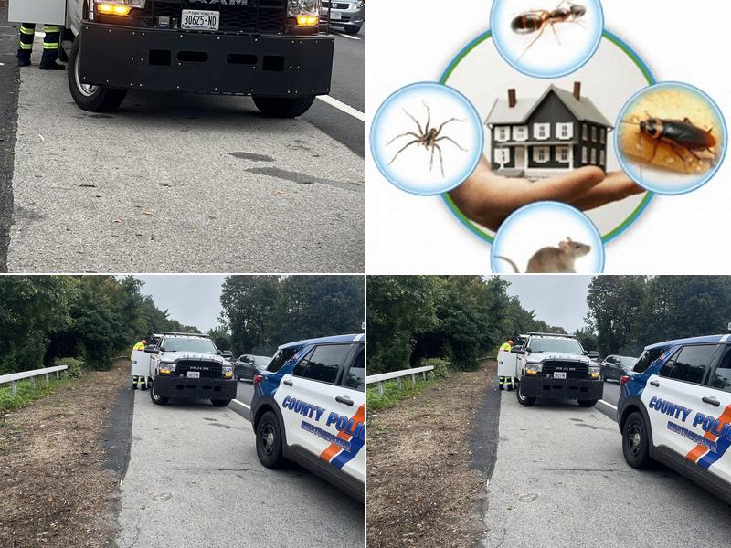Problem Solved Pest Control