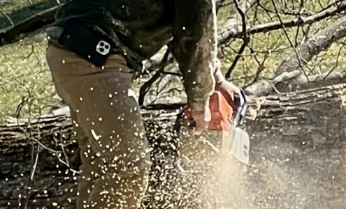 Westchester Environmental Tree Service