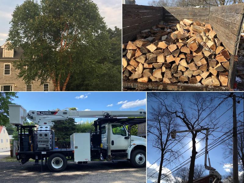 Eastern Tree Experts LLC