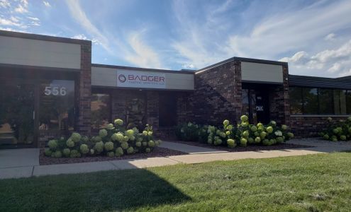 Badger Testing Services