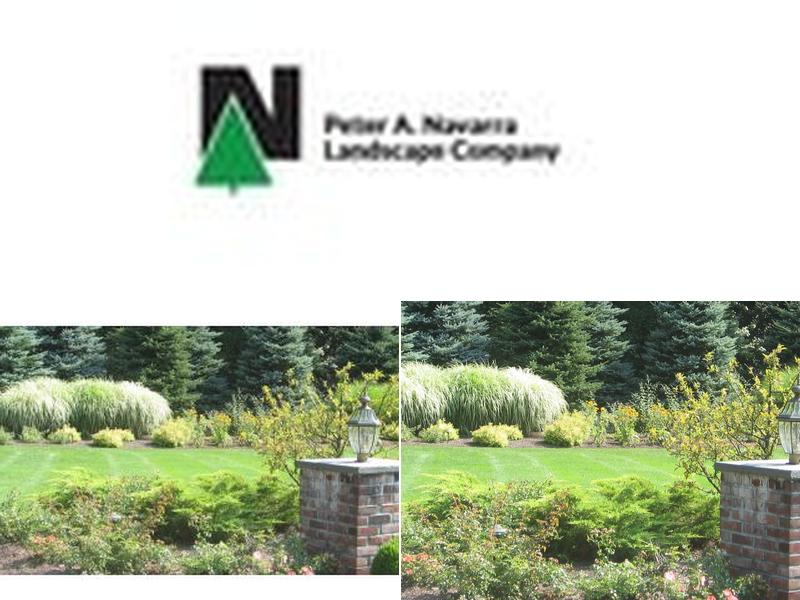 Peter Navarra Landscaping Co
