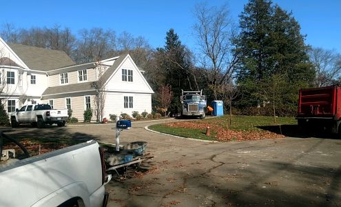 M.Lato Excavating and Tree Care Service LLC