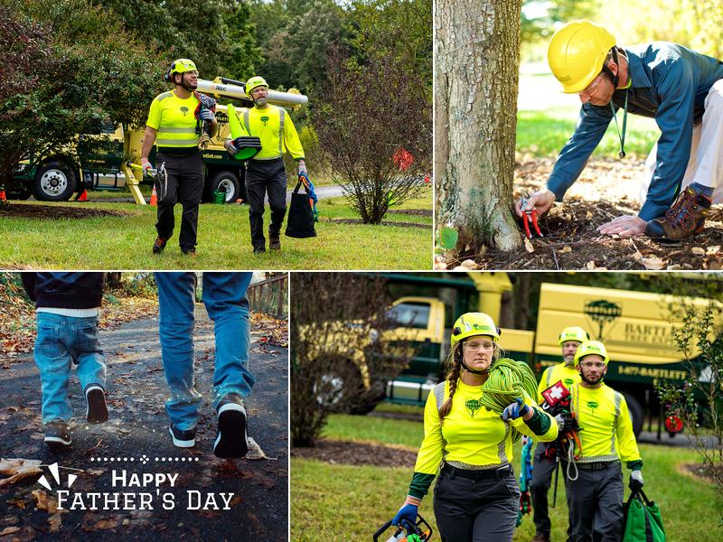 Bartlett Tree Experts