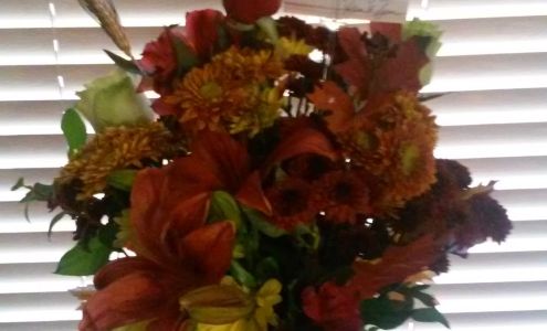 Total Exterminators & Pest Control