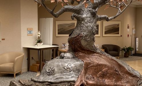 St. Helena Hospital Foundation