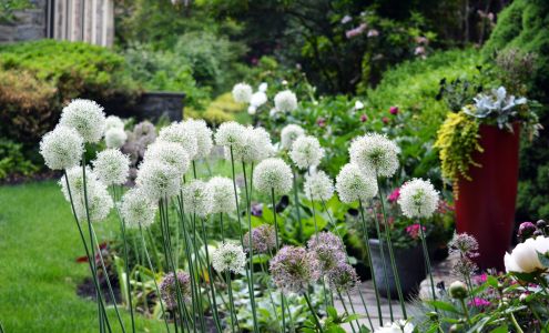 Roots Landscape, Inc. 485 Devon Park Dr #104, Wayne Pennsylvania 19087