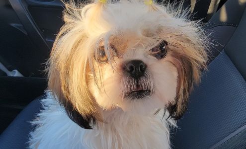 Riverwood Veterinary Hospital 1900 Mangrove Ave #50, Chico California 95926