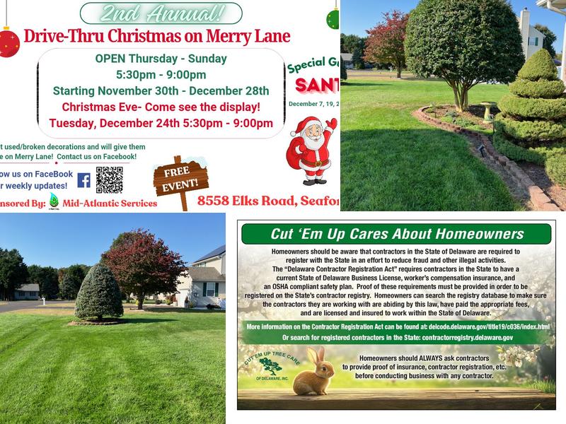 Cut 'Em Up Tree Care of Delaware, Inc.