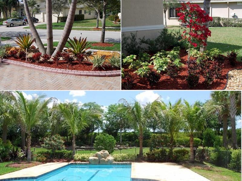 Tree Works Grounds Care