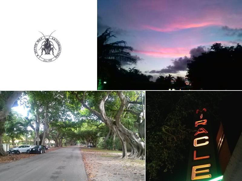 A Better Way Exterminators